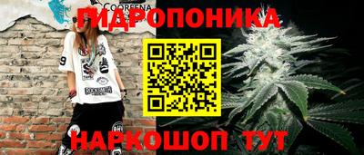 ПСИЛОЦИБИНОВЫЕ ГРИБЫ Краснокаменск