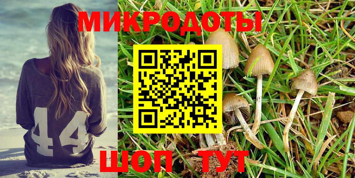 что такое   Псилоцибиновые грибы ЛСД  Вход с VPN  Кольчугино 